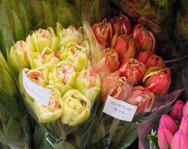 八重咲きチューリップがいろいろ入荷しました 切り花 花屋ブログ 京都府宇治市の花屋 フラワーショップはなまつにフラワーギフトはお任せください 当店は 安心と信頼の花キューピット加盟店です 花キューピットタウン