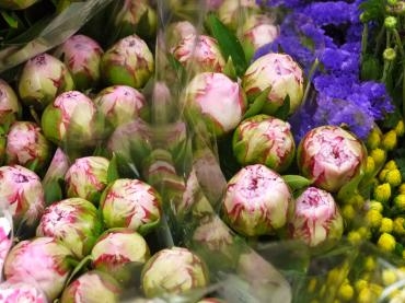 芍薬 今シーズンもまもなく終了です 花屋ブログ 京都府宇治市の花屋 フラワーショップはなまつにフラワーギフトはお任せください 当店は 安心と信頼の花キューピット加盟店です 花キューピットタウン