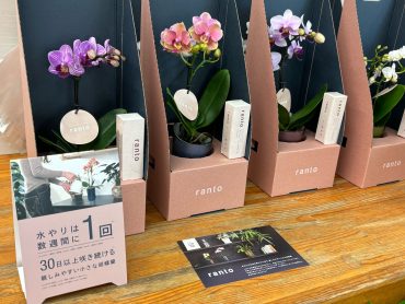 ミニ胡蝶蘭とお香のセット商品｜「フラワーショップはなまつ」　（京都府宇治市の花キューピット加盟店 花屋）のブログ